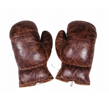 Boxing Gloves - Pair